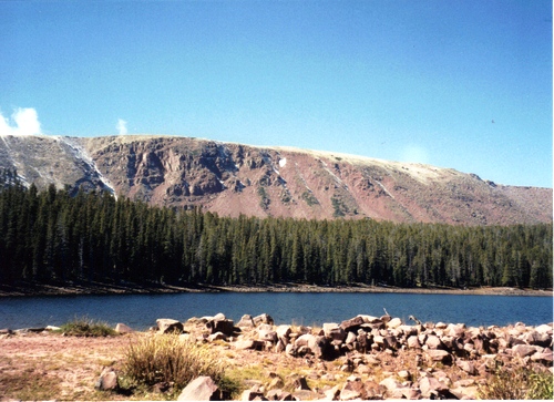 Brown Duck Lake